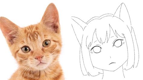 anime modeled after cats